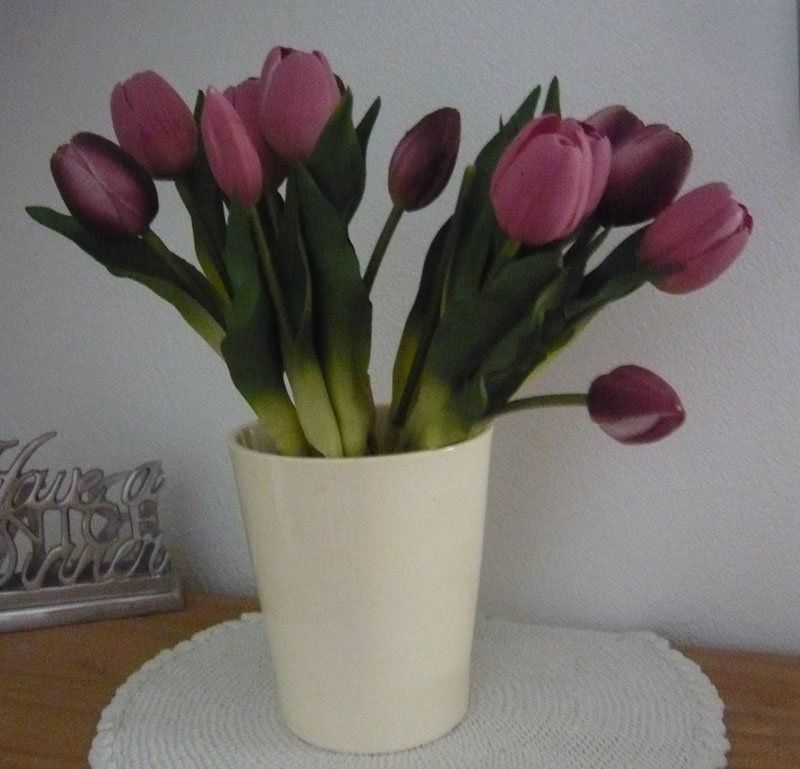 Plantes & graines: Blumen / Tülpen – D'occasion à Ruggell par Btt