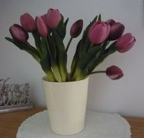 Blumen / Tülpen