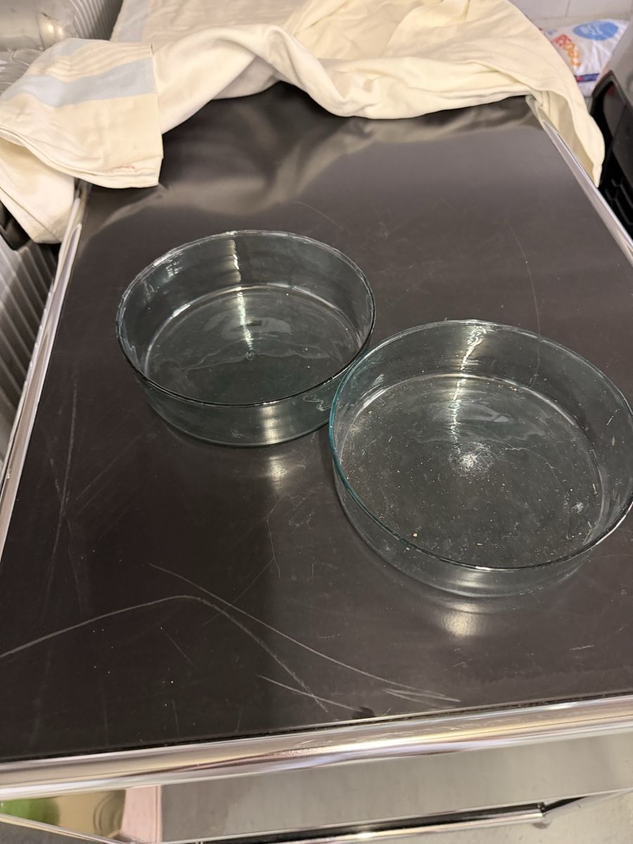 Coupes: Henry Dean Glasschalen hellblau 2x – D'occasion à Oberwil b. Zug par eli_q5dp 1