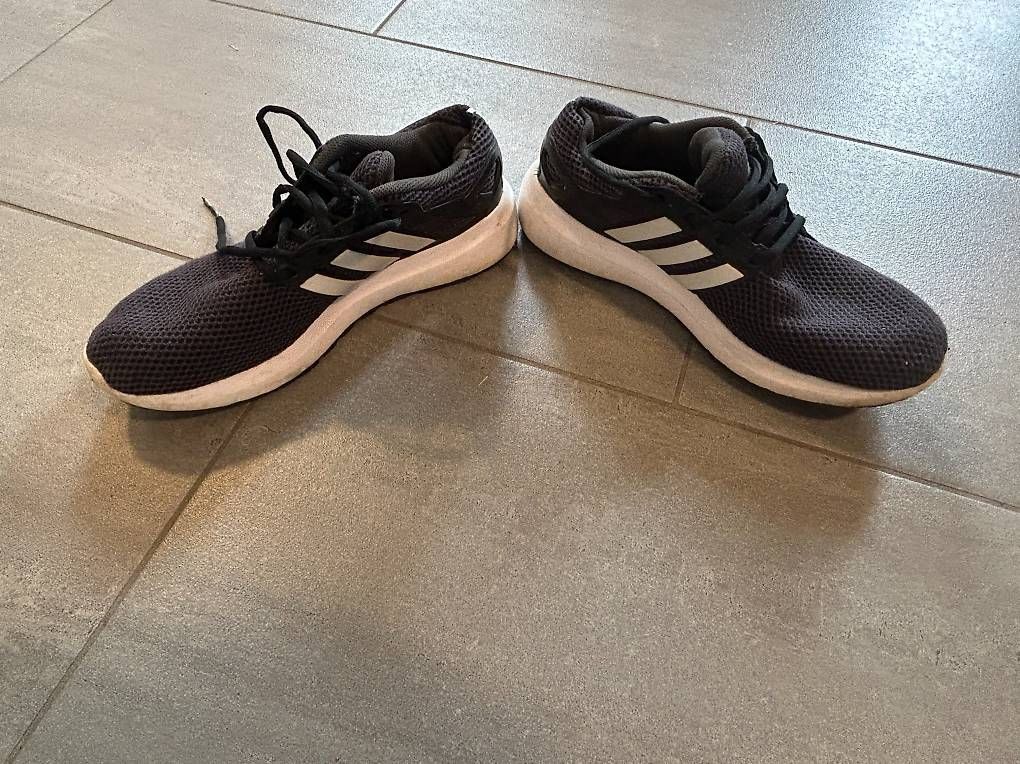 Herrenschuhe: Adidas Sneakers Gr. 41,5 – Gebraucht aus Thalheim an der Thur von Iselisberger 1