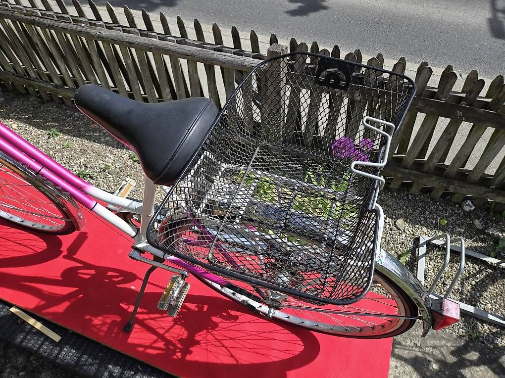 Biciclette: Damenvelo Mondia Elegance – Usato da Biel/Bienne venduto da Rouf7 3