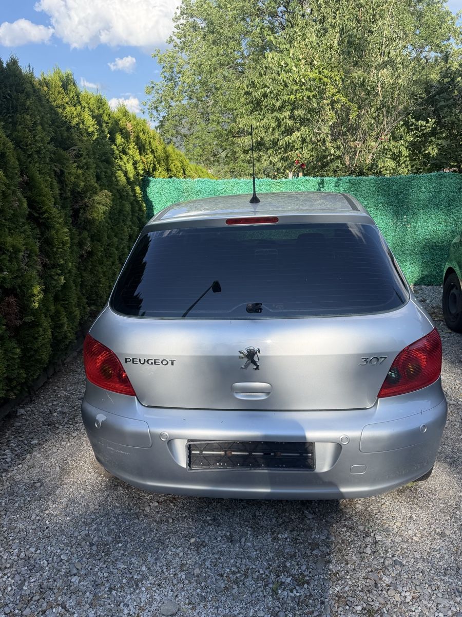 Peugeot Automobili: Peugeot 307 2.0i – Usato da Pringy venduto da bigrexy 2