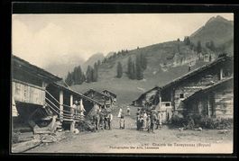 Taveyannaz /Gryon, Chalets de Taveyannaz