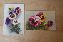 2 Ansichtskarten mit Blumen: Stiefmütterchen Violas Motiv
