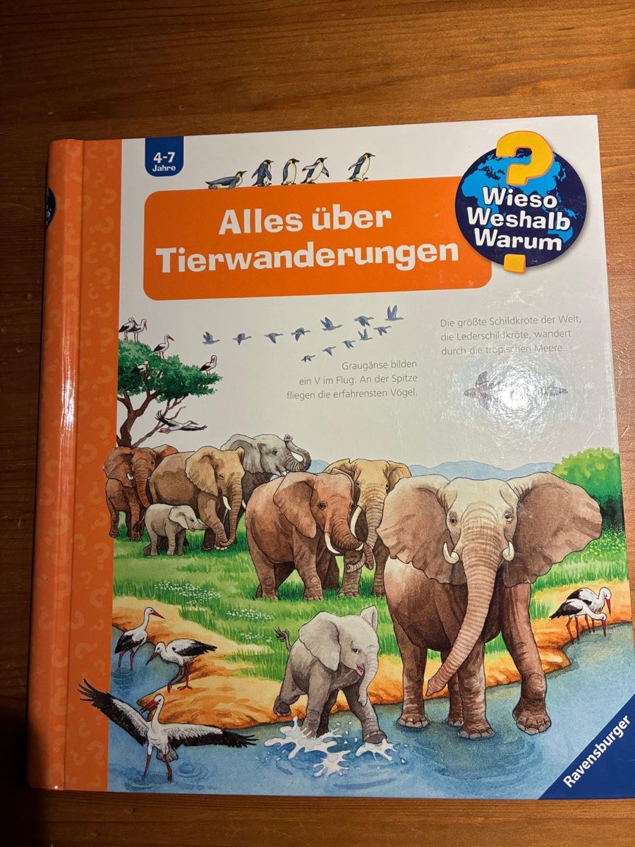 Libri: Wieso? Weshalb? Warum? Bücher-Set – Nuovo (secondo la descrizione) da Rotkreuz venduto da ZG6343 1
