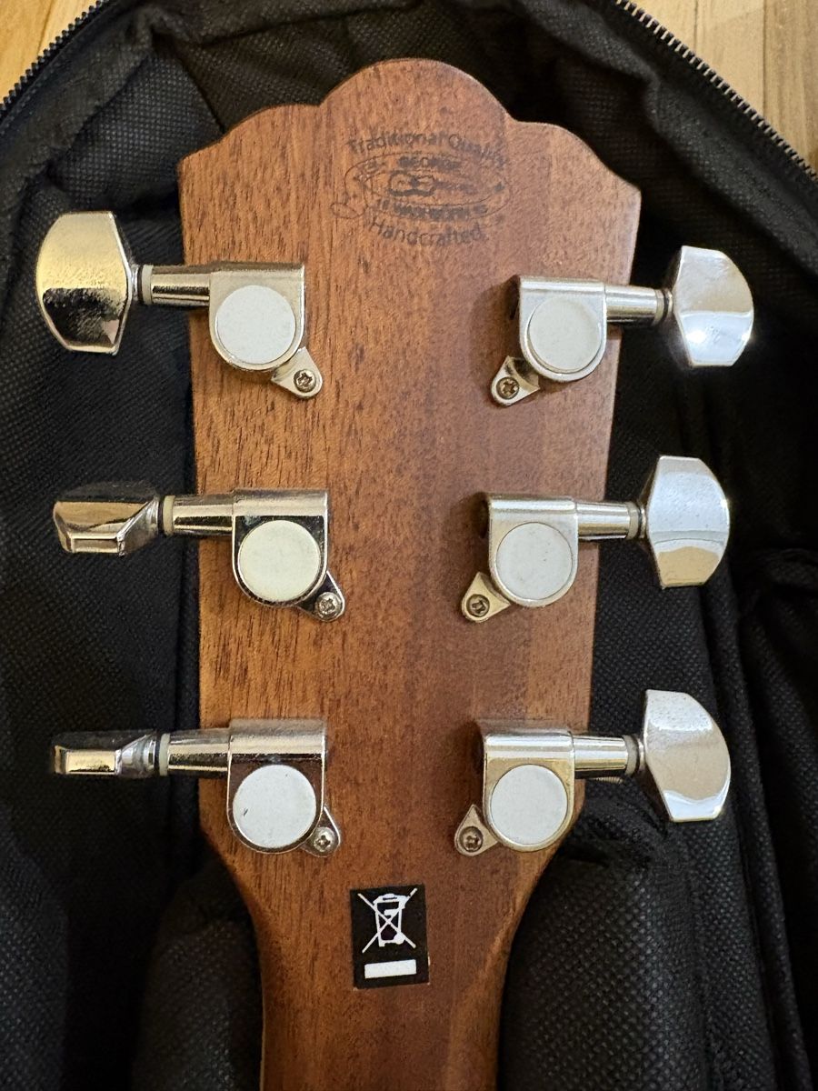 Washburn Strumenti musicali: Chitarra Washburn – Usato da Paradiso venduto da ago_yj79 1