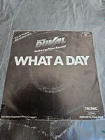 Vinyl, 7" LP - Frank Duval Feat. Peter Bischof – What A Day