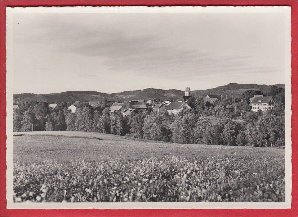 Cartoline postali: WILDBERG, GROSSFORMAT – Usato da Grüningen venduto da Kartenlaube