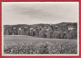 WILDBERG, GROSSFORMAT
