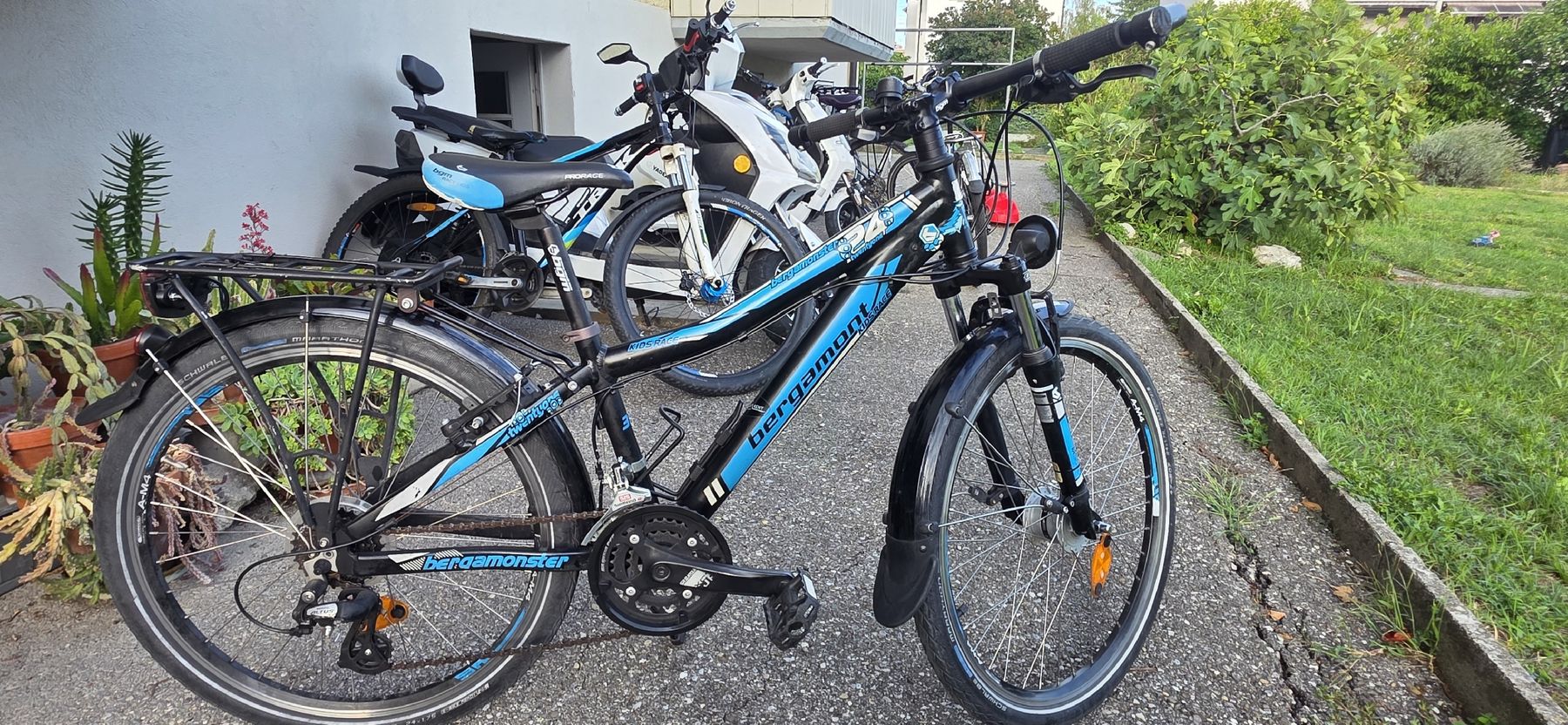 Velos: velo 24 zoll  – Gebraucht aus Solothurn von mar_8qf8