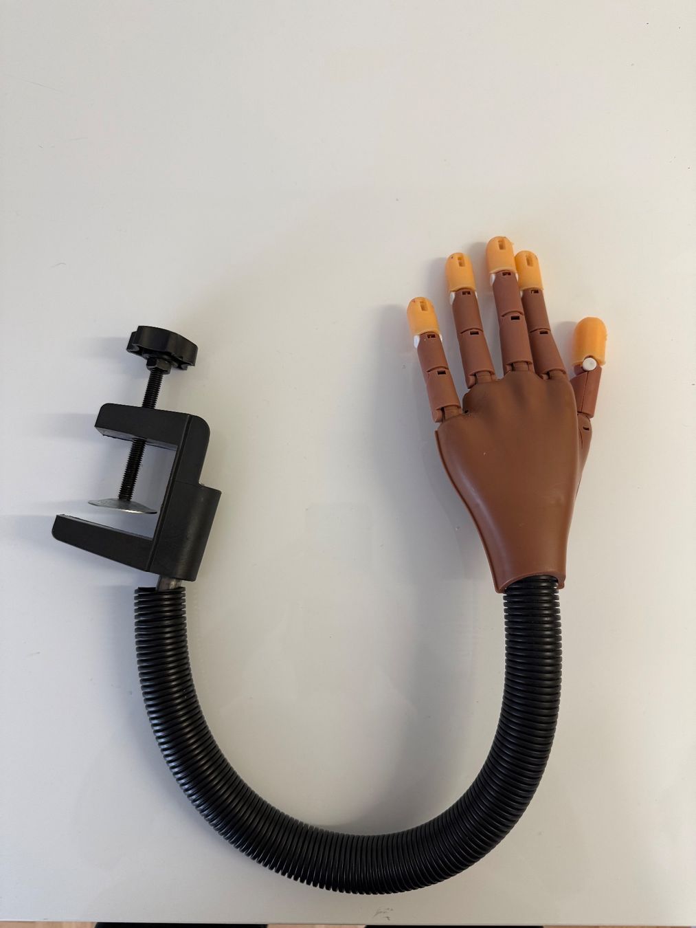 Manicure: Übungshand für Nageldesign – Usato da Basel venduto da bsnso