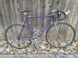 Retro Rennvelo Shimano 600, ab Service!