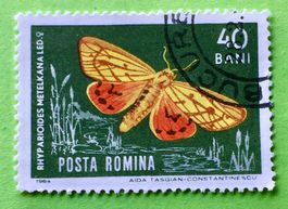 Briefmarken aus  Rumänien gestempelt Siehe Original Fotos. 