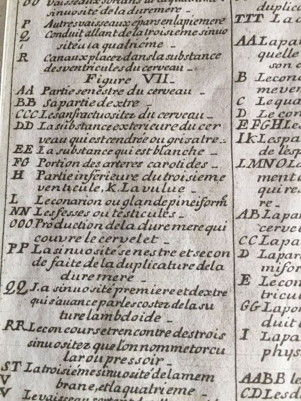 Stiche: Anatomie Selten ORIGINAL – Gebraucht aus Trachslau von post35 5