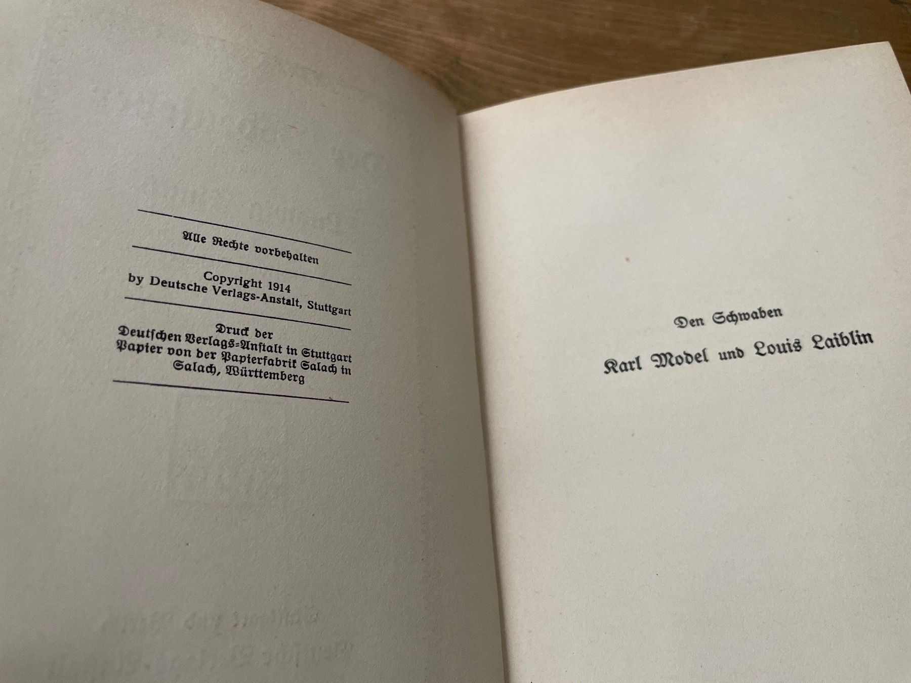 Libri: Der Bodenseher -Ludwig Finckh 1914 – Usato da Winterthur venduto da cheerio97 3