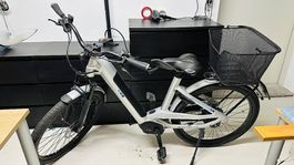 E-Bike 45 km/h BERGSTROM GXR 860