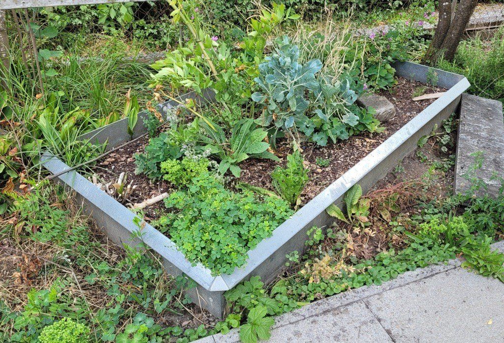 Zäune: Schneckenzaun – Gebraucht aus Uster von Fcgregi