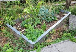 Schneckenzaun