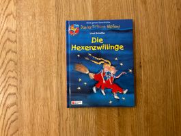 Die Hexenzwillinge Ursel Scheffler Das kunterbunte Nilpferd
