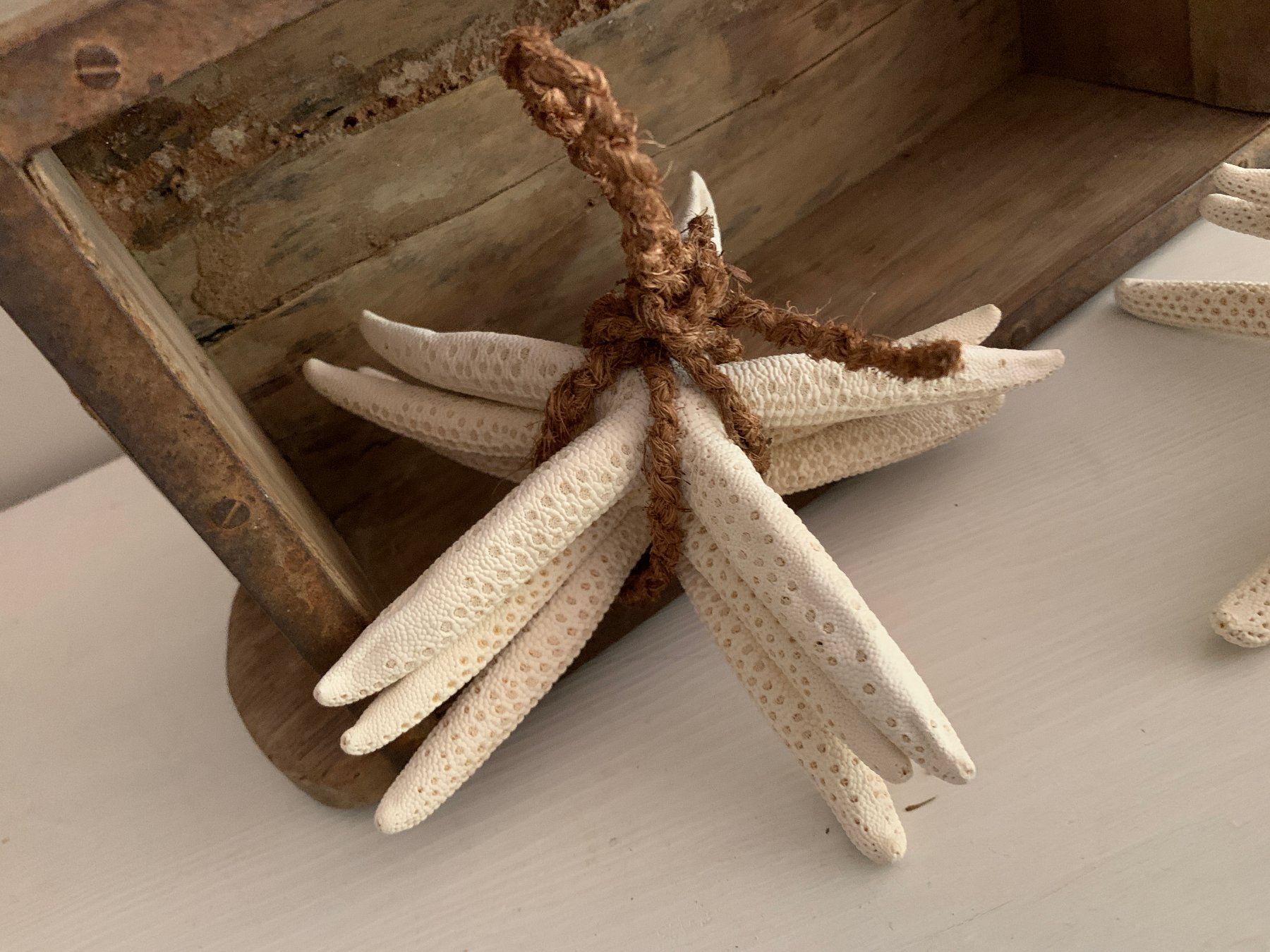 Alle Dekorationen: maritime Deko, Seesternbündel, starfish – Gebraucht aus St. Gallen von Miousch 4