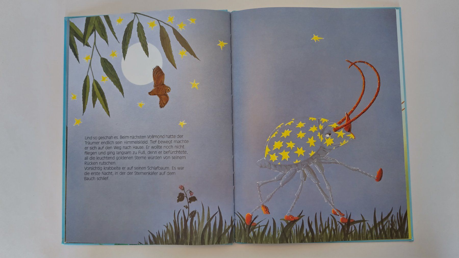 Bücher: Der Sternenkäfer / Bilderbuch 1994 ab Fr. 4.- / 2 Risse – Gebraucht aus Bellach von JingleJerry 6