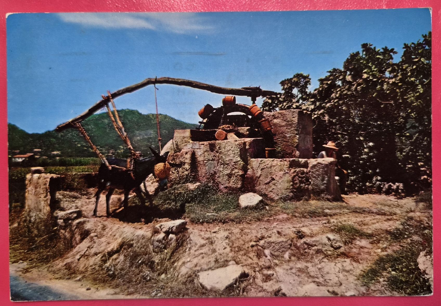 Cartoline postali: Mallorca Noria tipica 1962 – Usato da Melchnau venduto da Arthurius