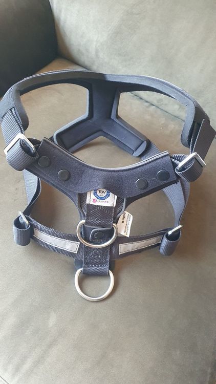 Leine & Halsband: Hunde Sicherheits-Geschirr, Autogurt, Cabriolet – Gebraucht aus Turgi von nachtheuel 1