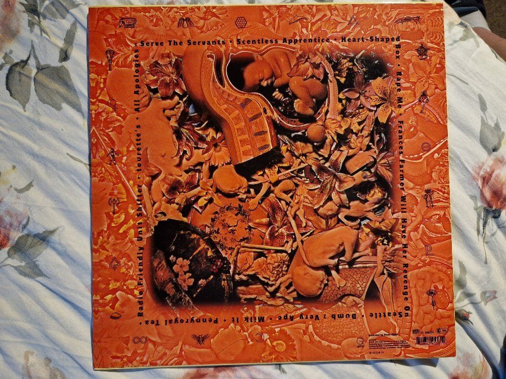 Dischi in vinile: Nirvana – In Utero – Nuovo (secondo la descrizione) da Brittnau venduto da Zibu 1