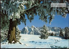 AK 1975 Flumserberge: Blick auf Sichelcham und Gamsberg