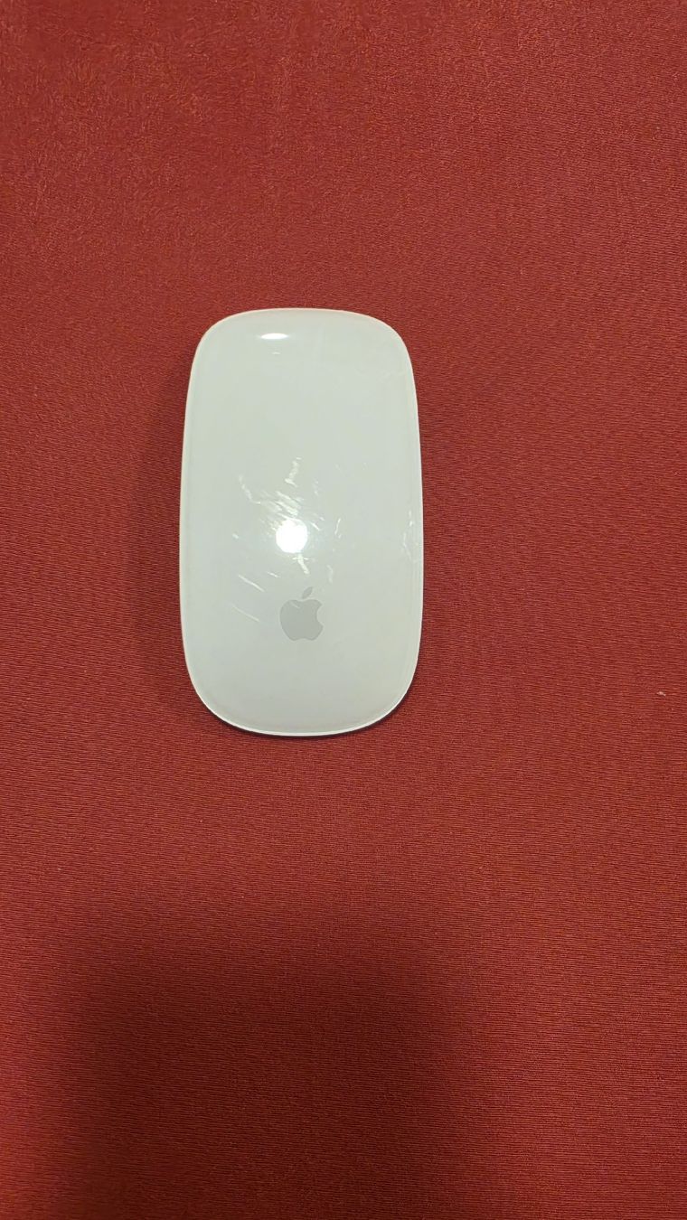 Apple Maus: Magic Mouse Apple – Gebraucht aus Zug von SZC.