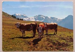 Planachaux s. Champéry