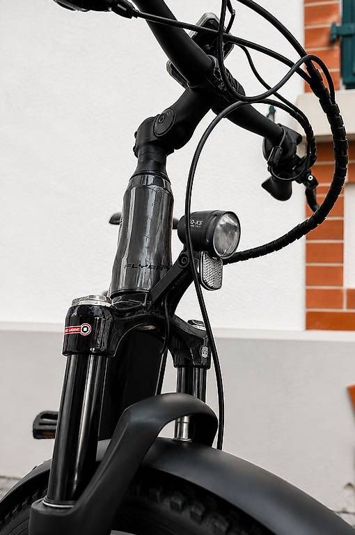 Biciclette: Hight Quality - Flyer E-Bike 25km/h – Usato da Winterthur venduto da NiciHas 2
