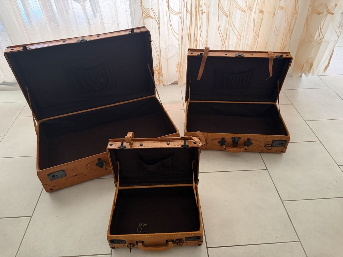 Valigie: Vintage Reisekoffer aus Leder  – Usato da Unterentfelden venduto da Us1502 2