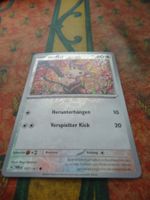 POKEMON  Griffel    H  TWM DE   137/167   KP60  2024