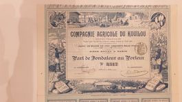 Compagnie agricole du Kouilou. 1900.