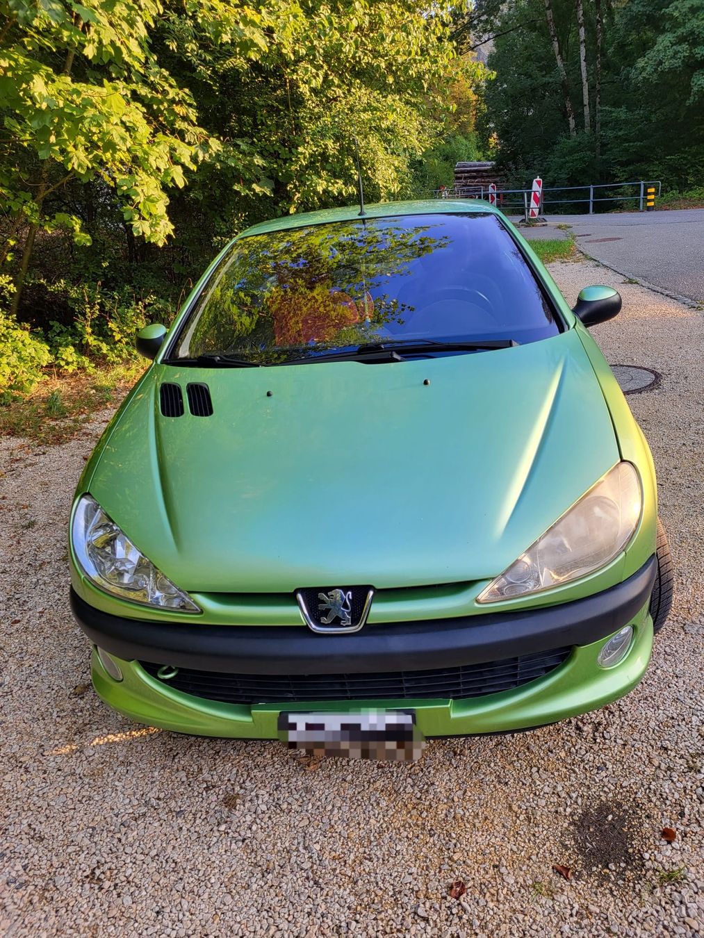 Peugeot Automobili: Peugeot 206 2.0 Cabrio – Usato da Safnern venduto da ROEDGM 2