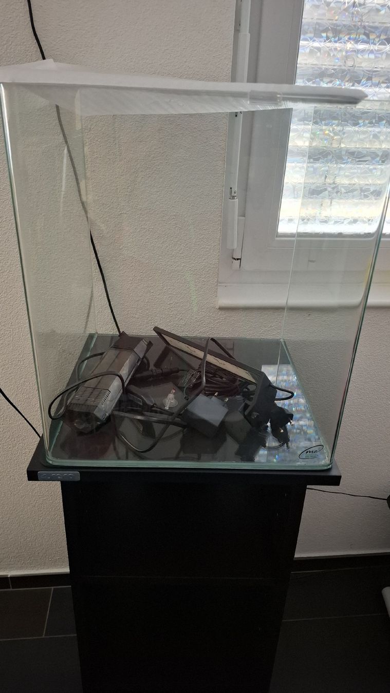 Aquarium: Aquarium 60 L aquaristic  – Neu (gemäss Beschreibung) aus Möriken AG von car_r789 3