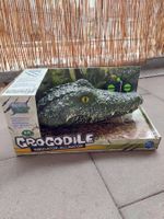 Cooles Wasserspass-Krokodil für den Sommer