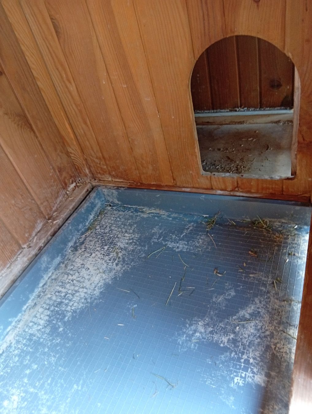 Gabbie, trasporto & Sicurezza: Hasenstall – Usato da Ammerswil AG venduto da Abarm 3