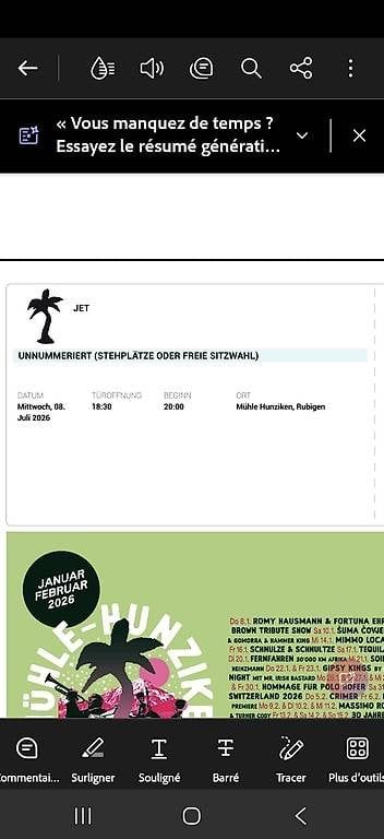 Billets: 2x billets JET Mulhe hunziken  – D'occasion à Brétigny/morrens par Mkejo