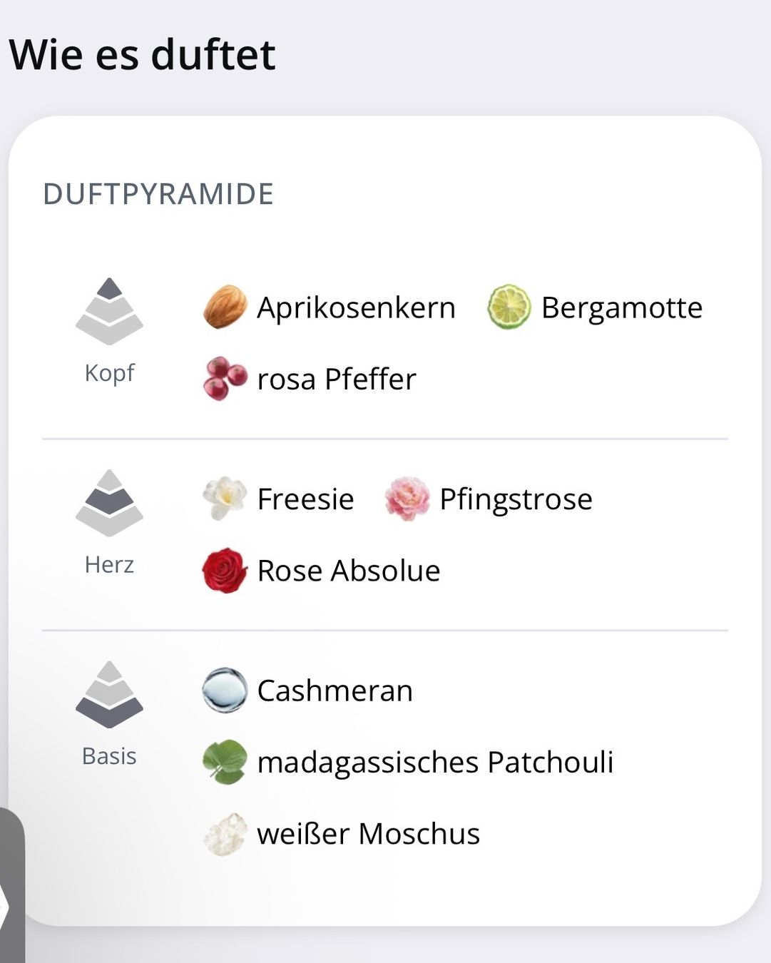 Profumi & Eau de Toilette: Memo Paris Odéon Rosebud Eau de Parfum 75ml – Nuovo (secondo la descrizione) da Effretikon venduto da YaMn 8