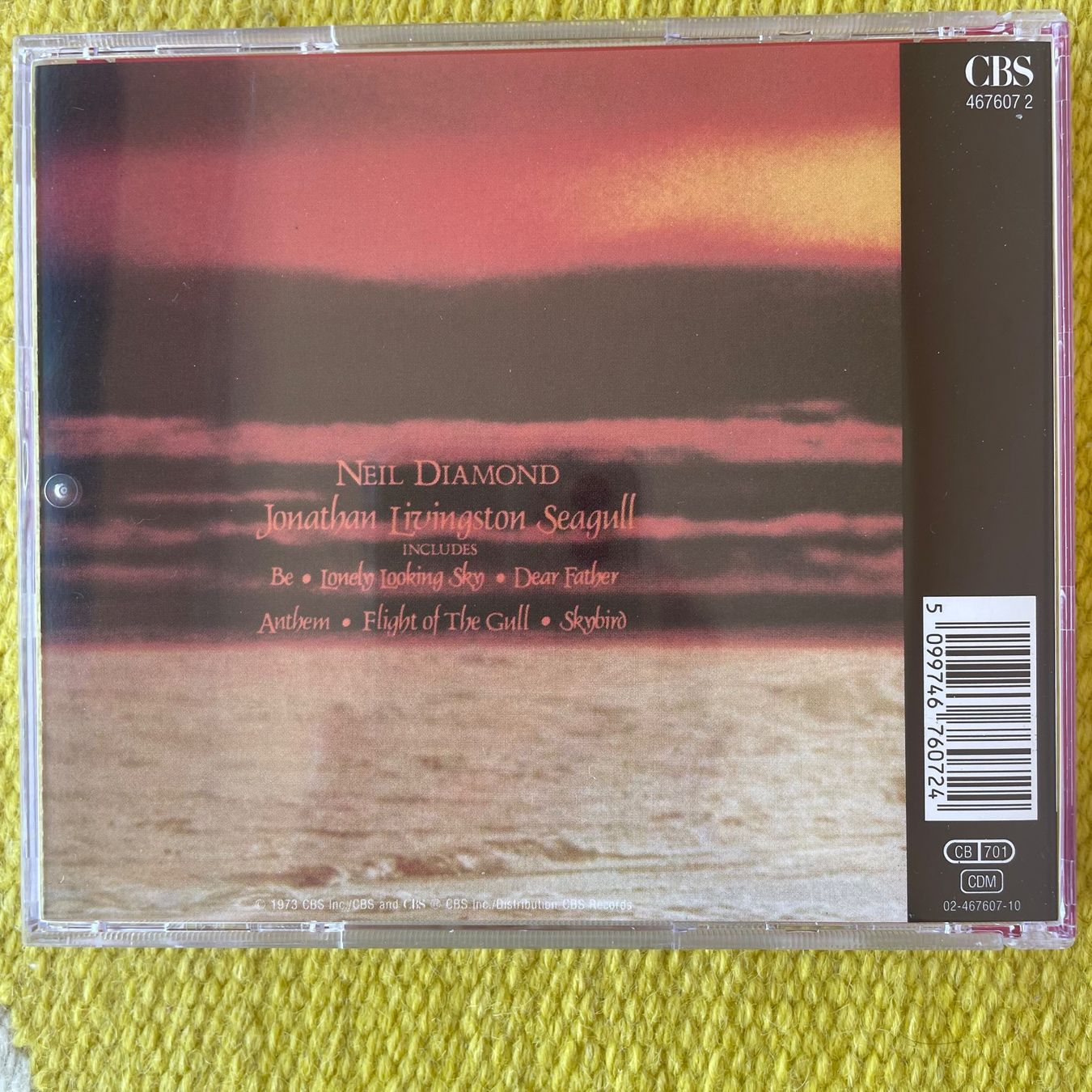 CD: NEIL DIAMOND-JONATHAN LIVINGSTON SEAGULL – Usato da Rorschacherberg venduto da CD-Roli 1