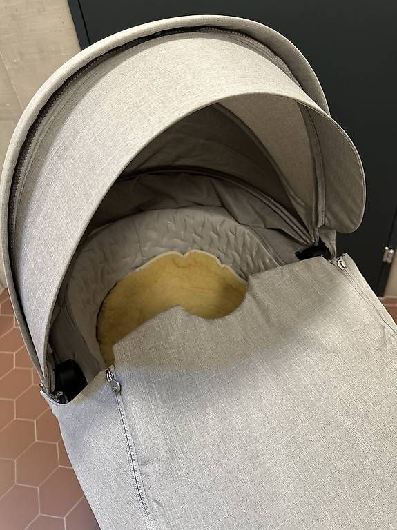 Carrozzine: Kinderwagen – Usato da Reinach BL venduto da daimae88 3