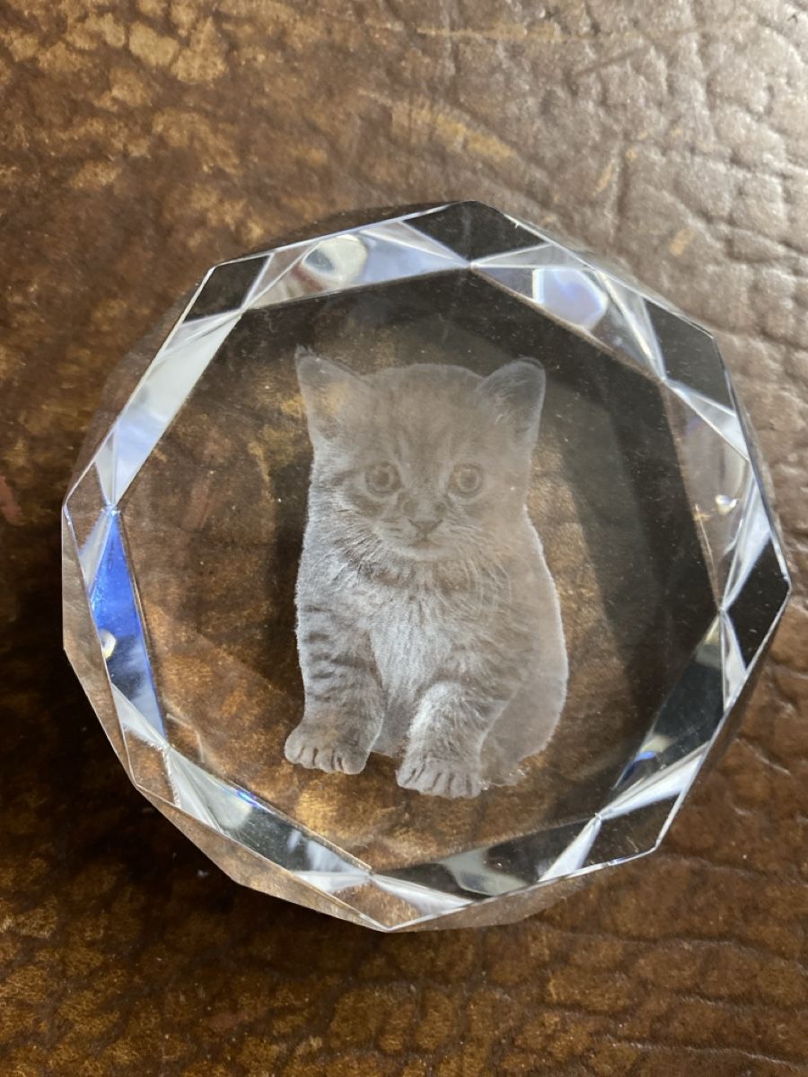 Figuren: Katzen-Glas – Gebraucht aus Zürich von dima04 1