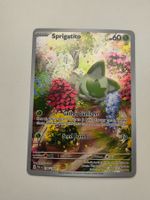 Pokemon Sprigatito Illustration Rare Felori Paldea Evolved