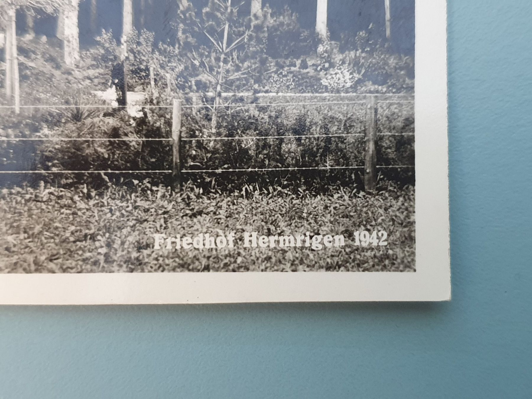 Cartes postales: 2 Postkarten, Ansichtskarten FRIEDHOF HERMRIGEN 1942 – Neuf (Voir description) à Aegerten par taxidermo 3