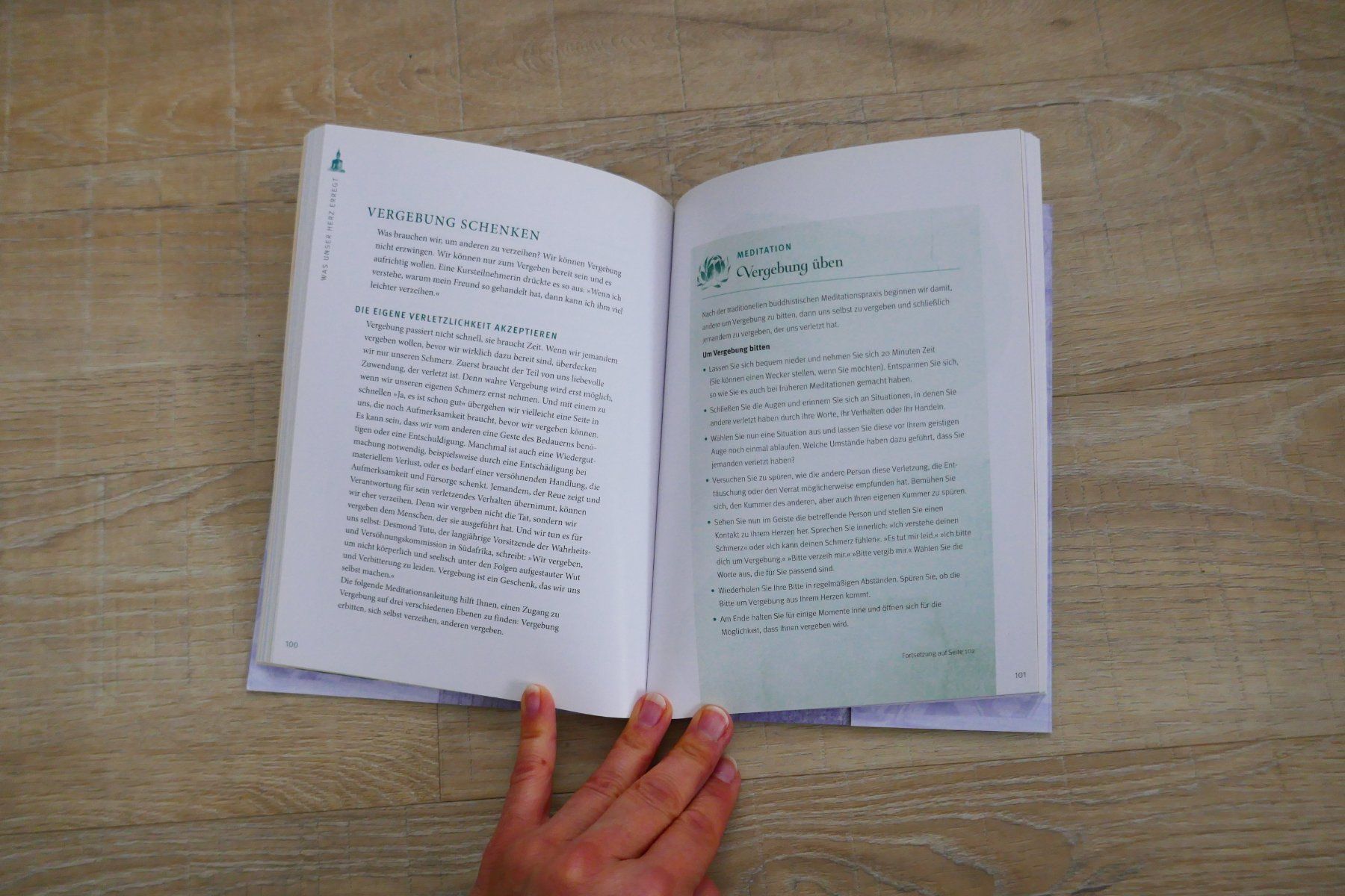Libri: Buddhas Herzmeditation, Buch ohne CD – Usato da Port venduto da uzuku 8