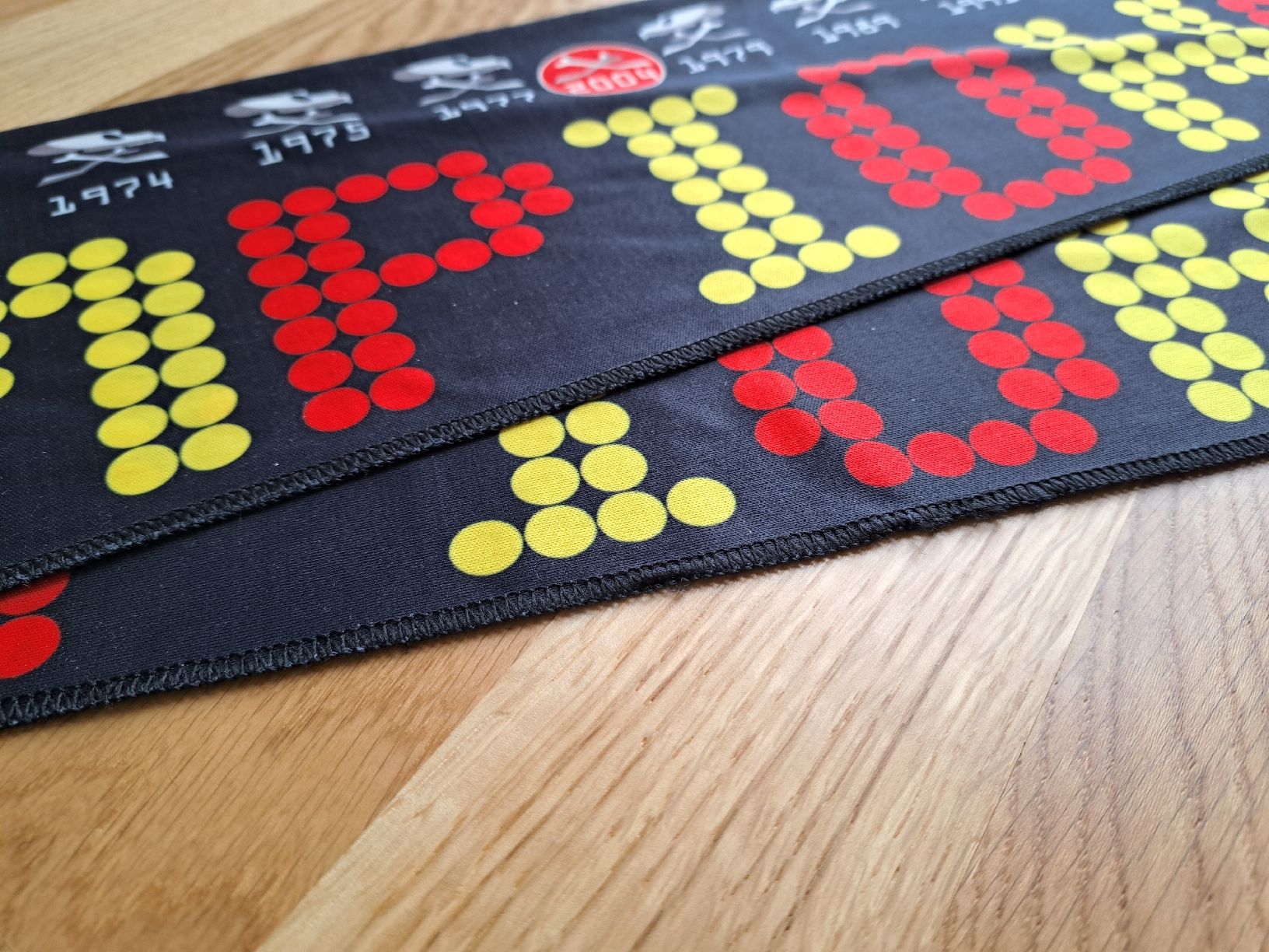 Foulard & Sciarpe: SC Bern Schal "We are the Champions"  – Usato da Murten venduto da ste_s76w 1