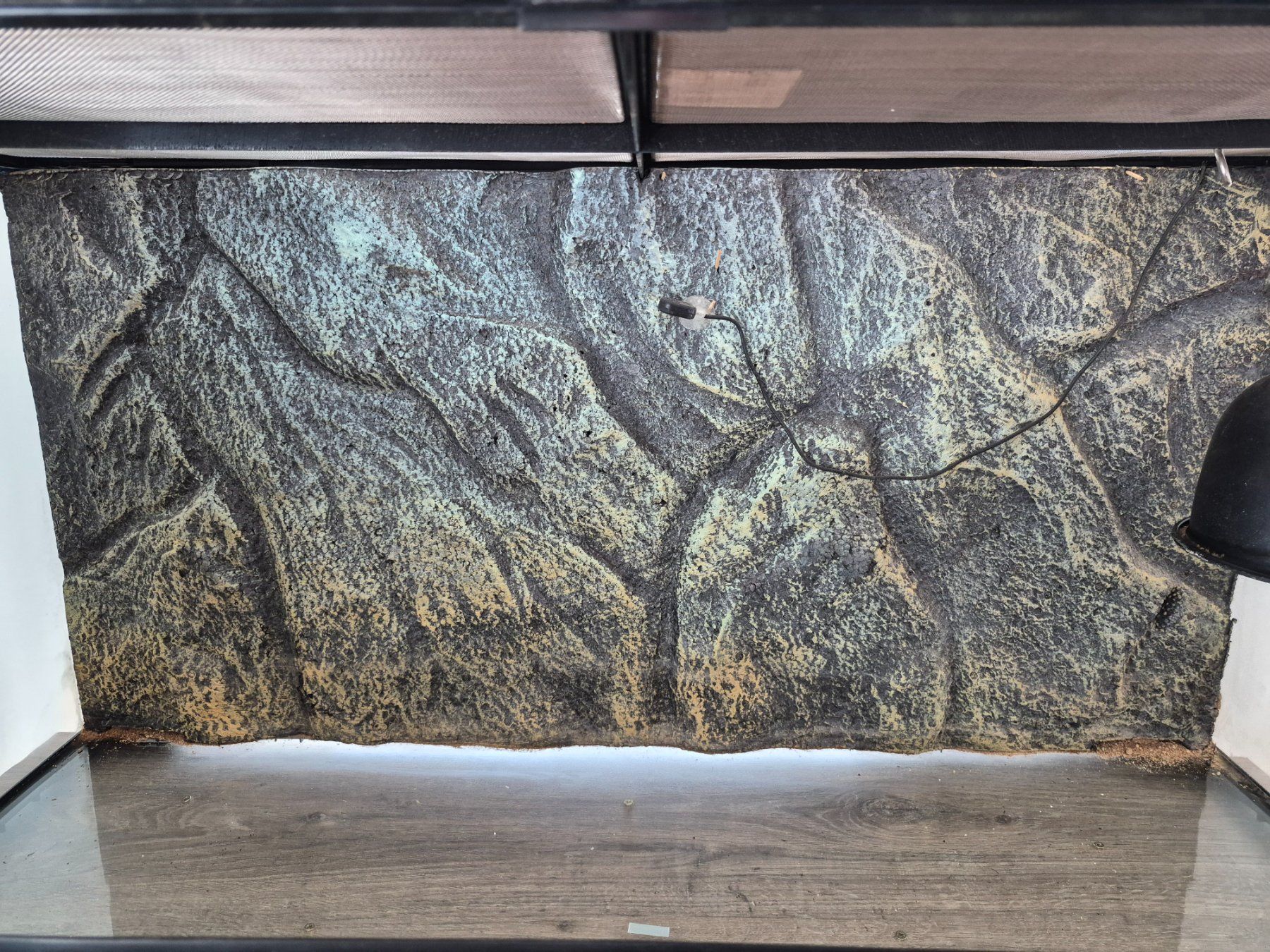 Terrario: Terrarium 90x45x45 inkl. Möbel – Usato da Wetzikon ZH venduto da Bytonixx 3
