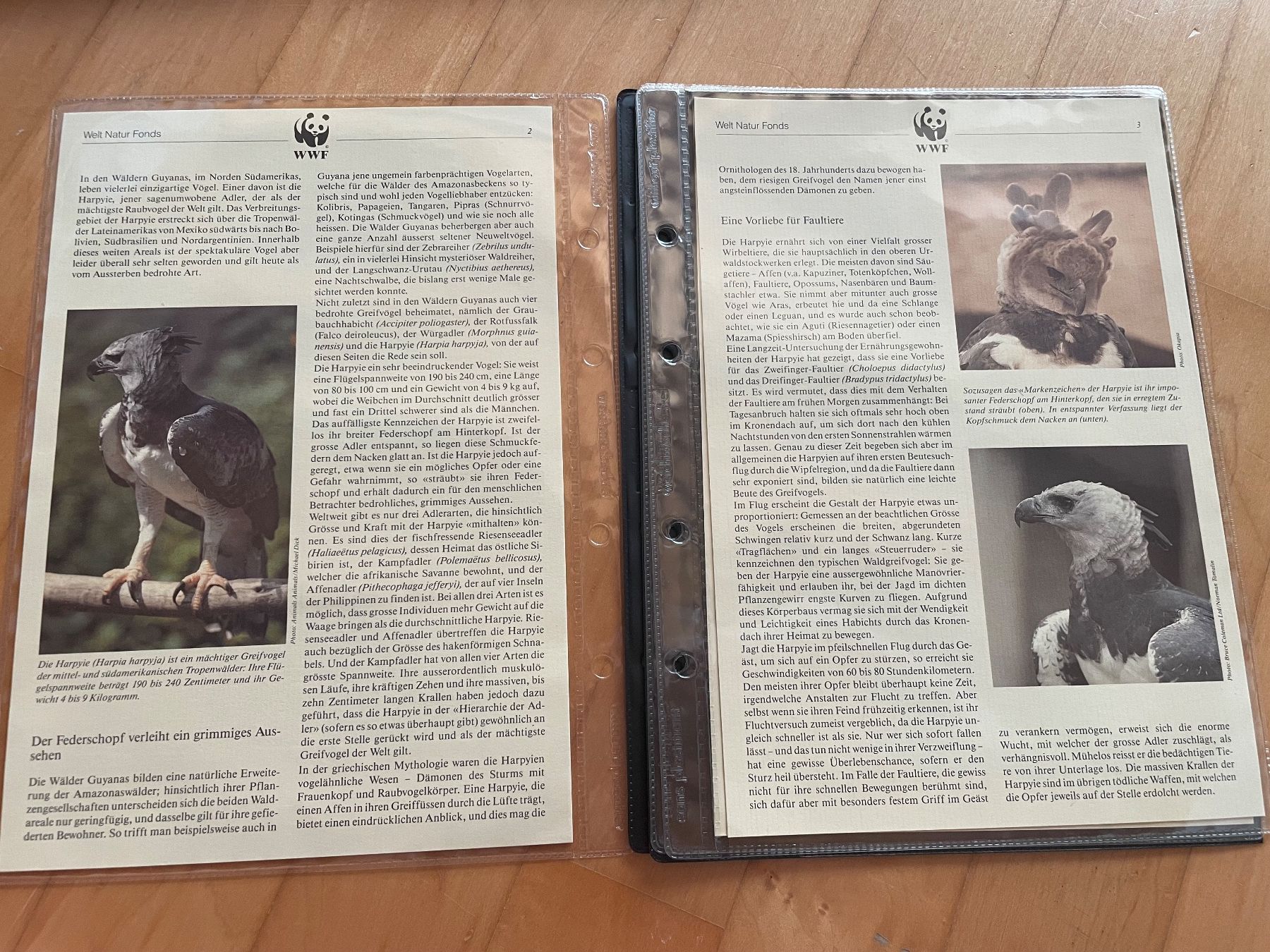 Tutti i francobolli: WWF Set "Die Hatpyie" – Usato da Altdorf UR venduto da mic_z8bj 1